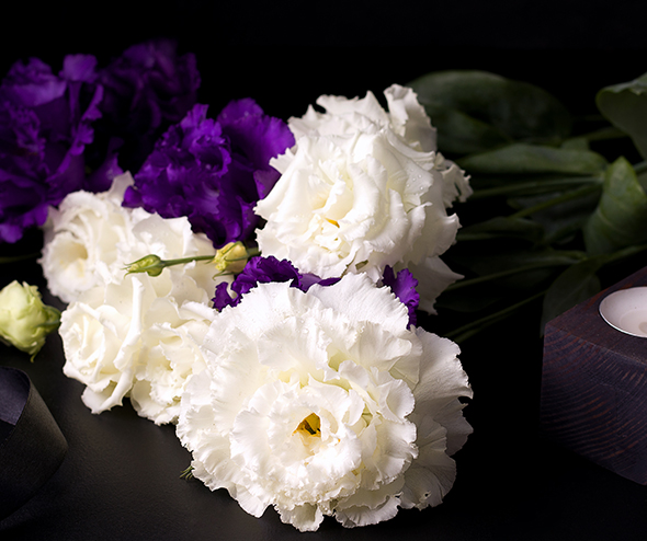 White Rock Funeral Homes