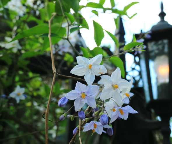 Funeral Homes Mission